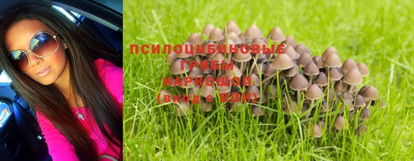 первитин Карпинск