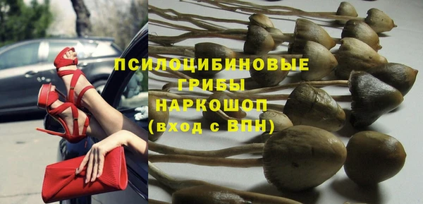 твердый Касимов
