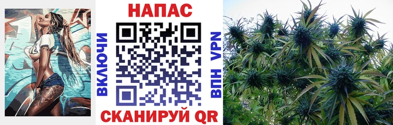 Купить закладки  Советская Гавань  Конопля SATIVA & INDICA 